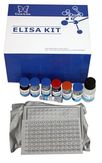 Human Insulin_INS_ ELISA Kit